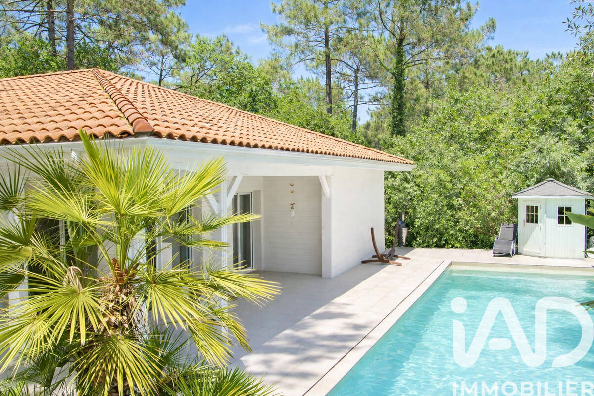 Photo 1 - Maison à BISCARROSSE