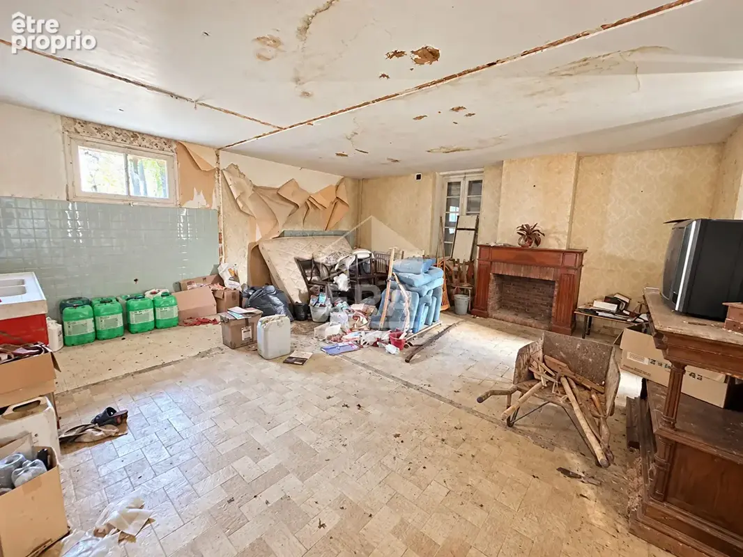 Maison à vendre - 6 pièces, 236 m² sur 2700 m² de terrain - photo 6
