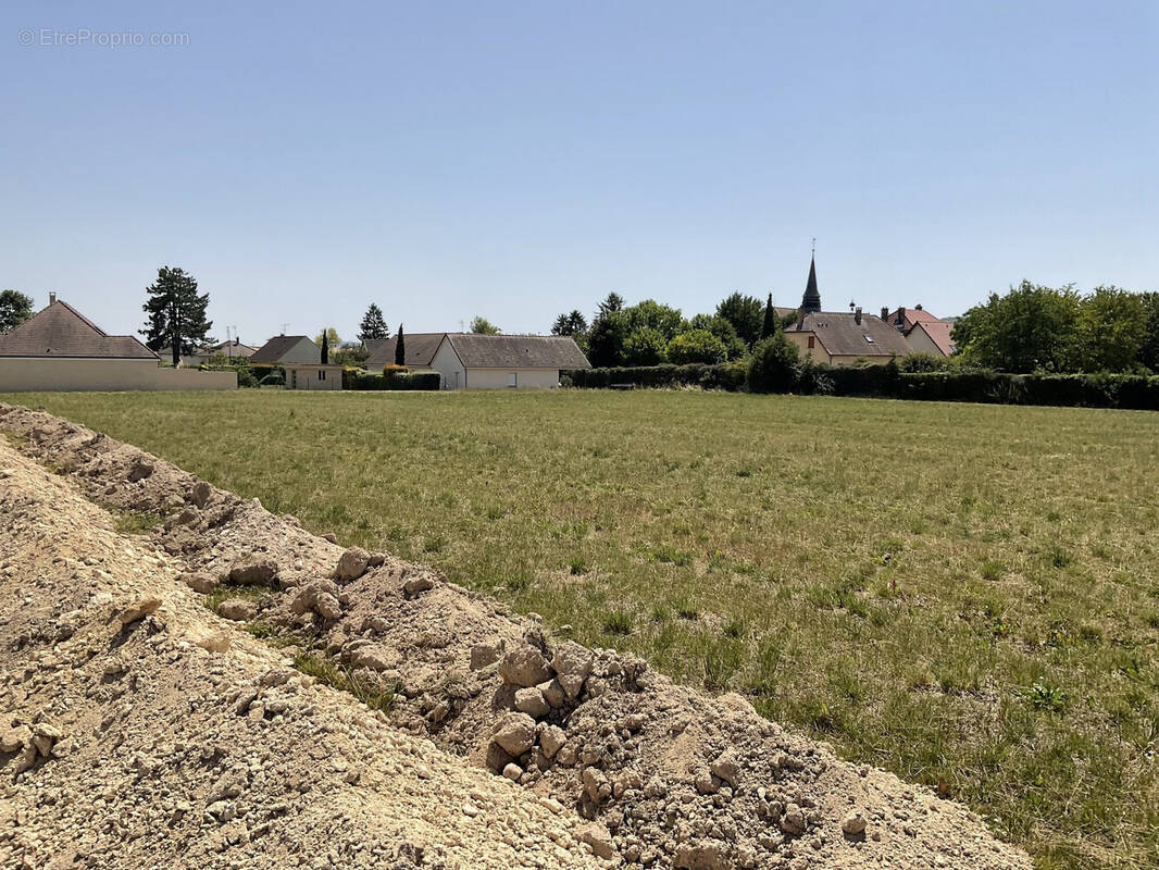 Terrain à TORVILLIERS