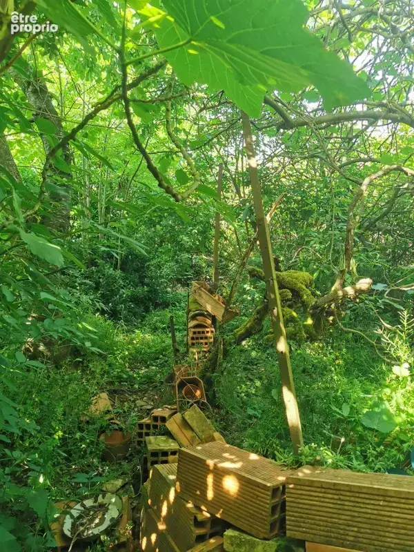 Remise de 80m2 à rénover avec jardinet - photo 4
