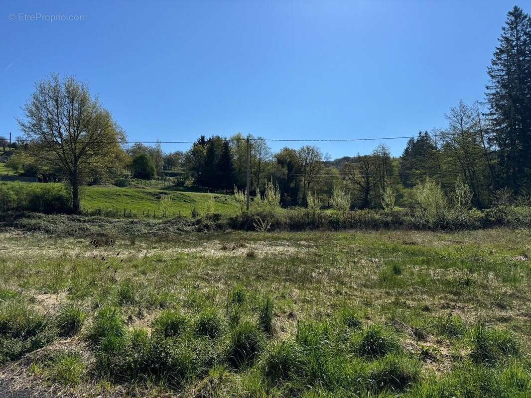 Terrain à MONTROZIER