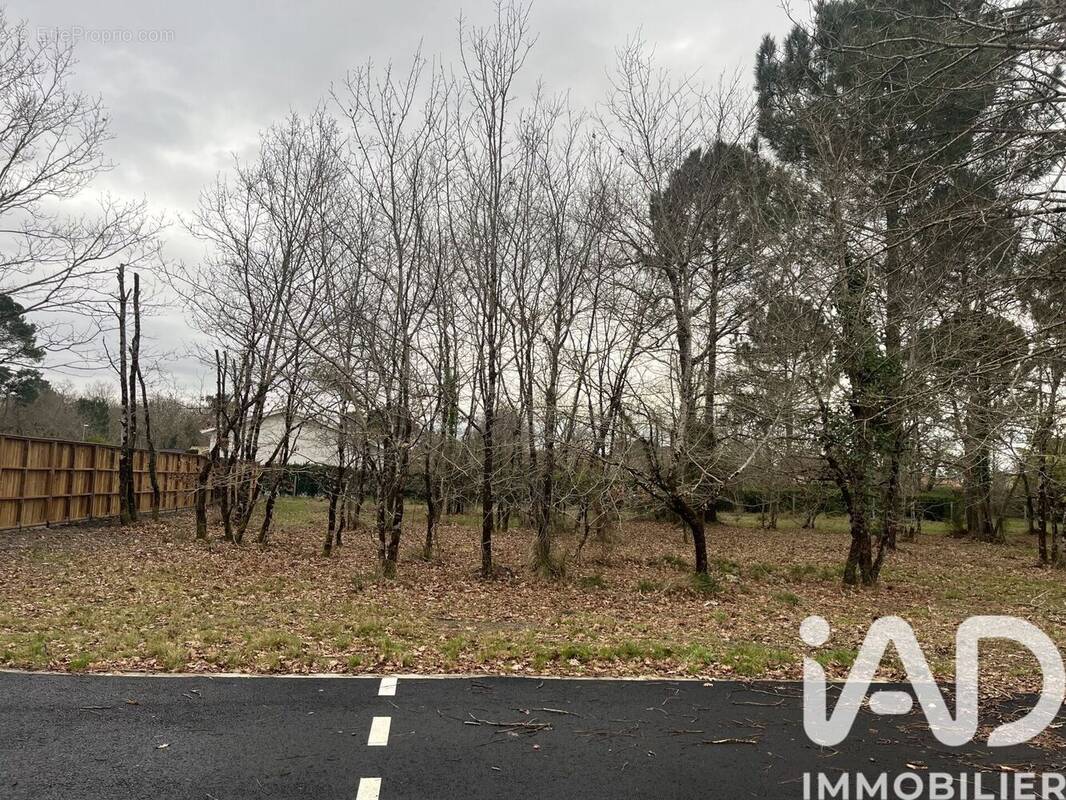 Photo 1 - Terrain à GUJAN-MESTRAS