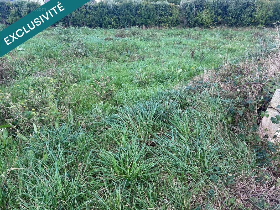 Photo 1 - Terrain à ROSCOFF