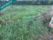 Photo 1 - Terrain à ROSCOFF