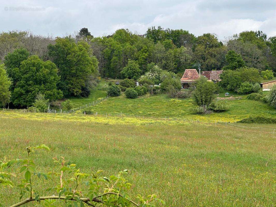 Longère et grange en pierre, 5 pièces, 3 chambres, puits, 6,5 ha jolie vue - photo 15