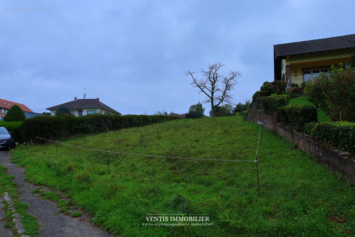 Terrain à DANNELBOURG