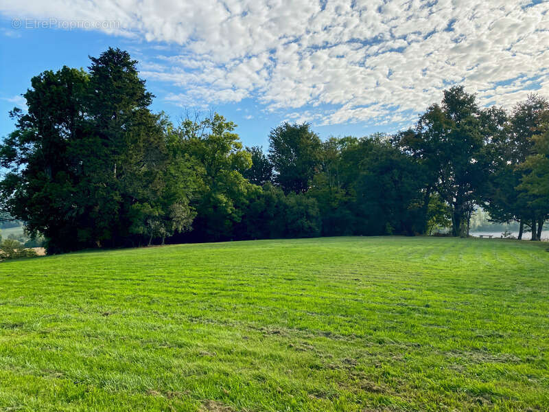 Propriété à vendre 9 pièces RIGUEPEU (32) - 315 m2 - 1,9 hectares - photo 36