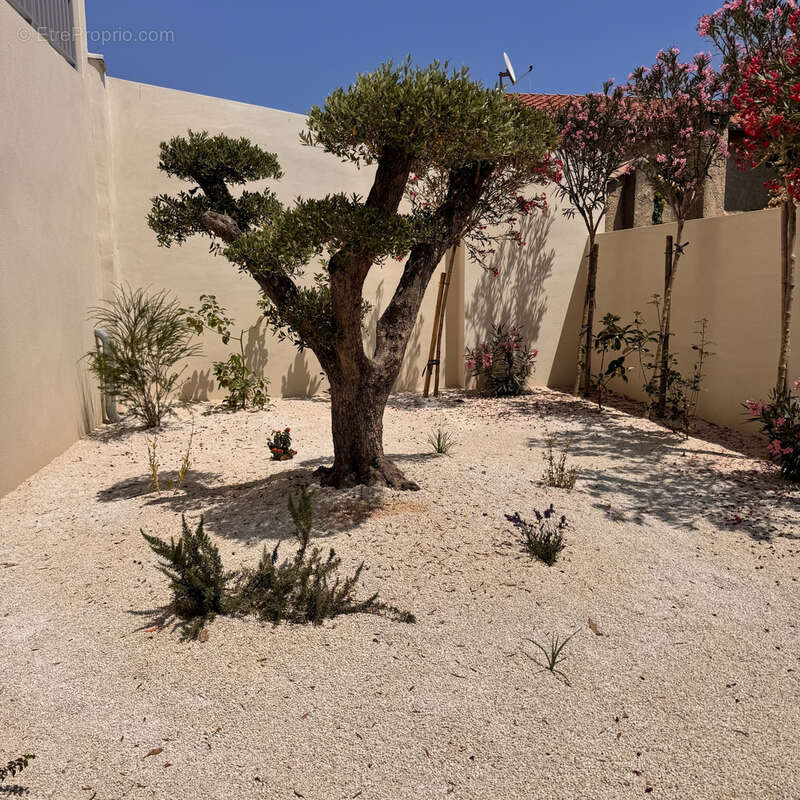 Appartement à SETE