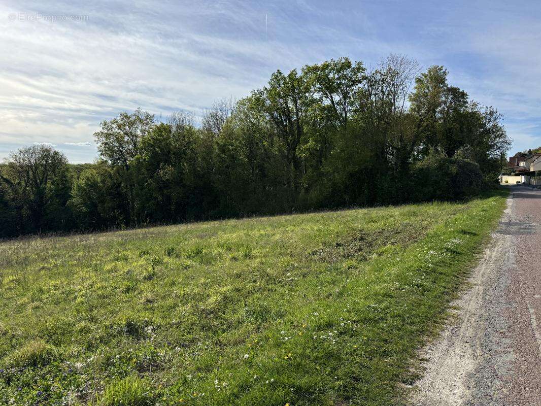 Terrain à MONTREUIL-AUX-LIONS