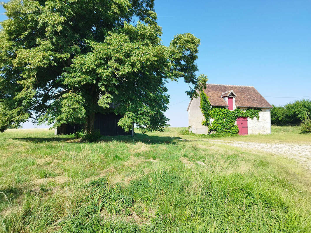 Maison à NOUANS-LES-FONTAINES
