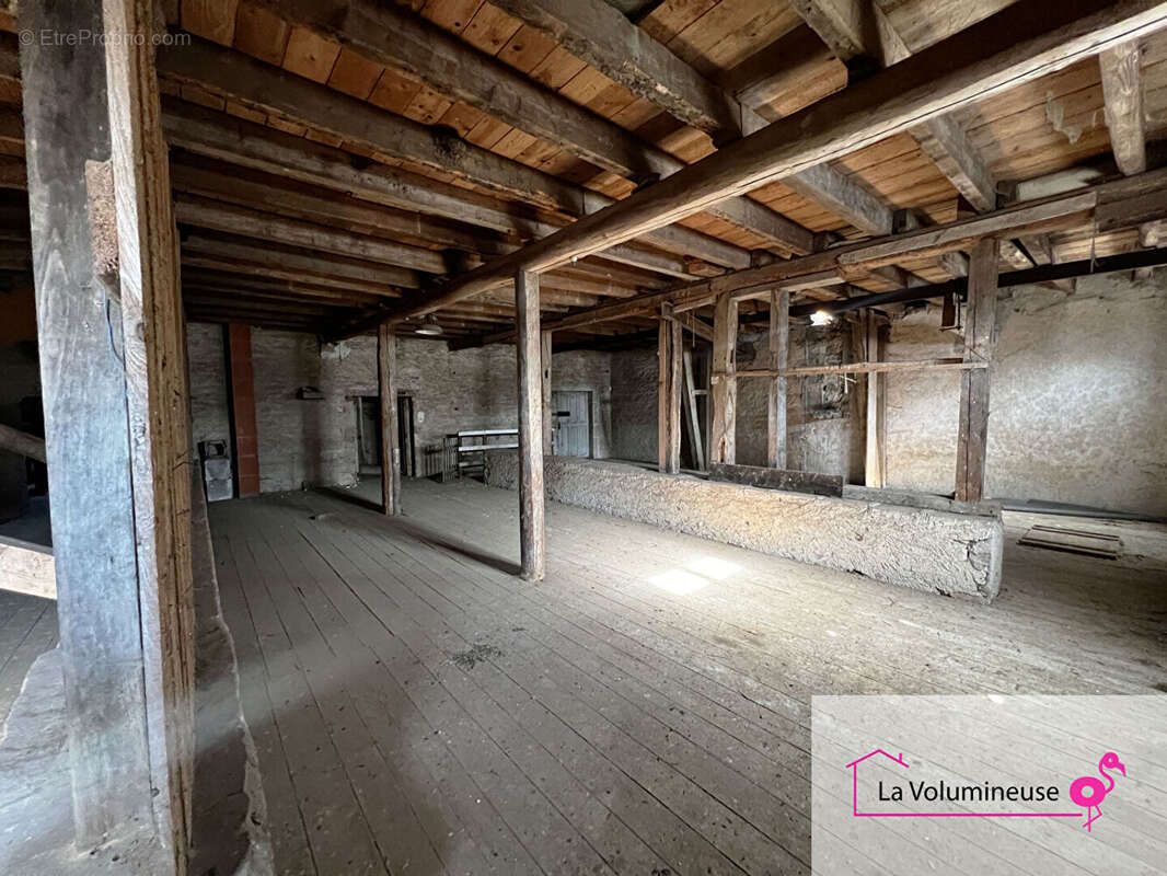 La Volumineuse - photo 14