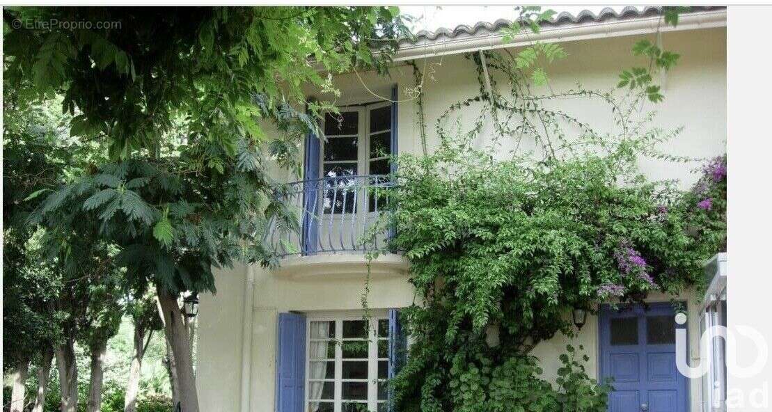 Photo 7 - Maison à VILLELONGUE-DE-LA-SALANQUE