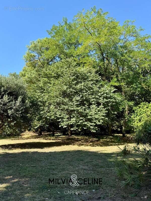 Maison à CARCASSONNE