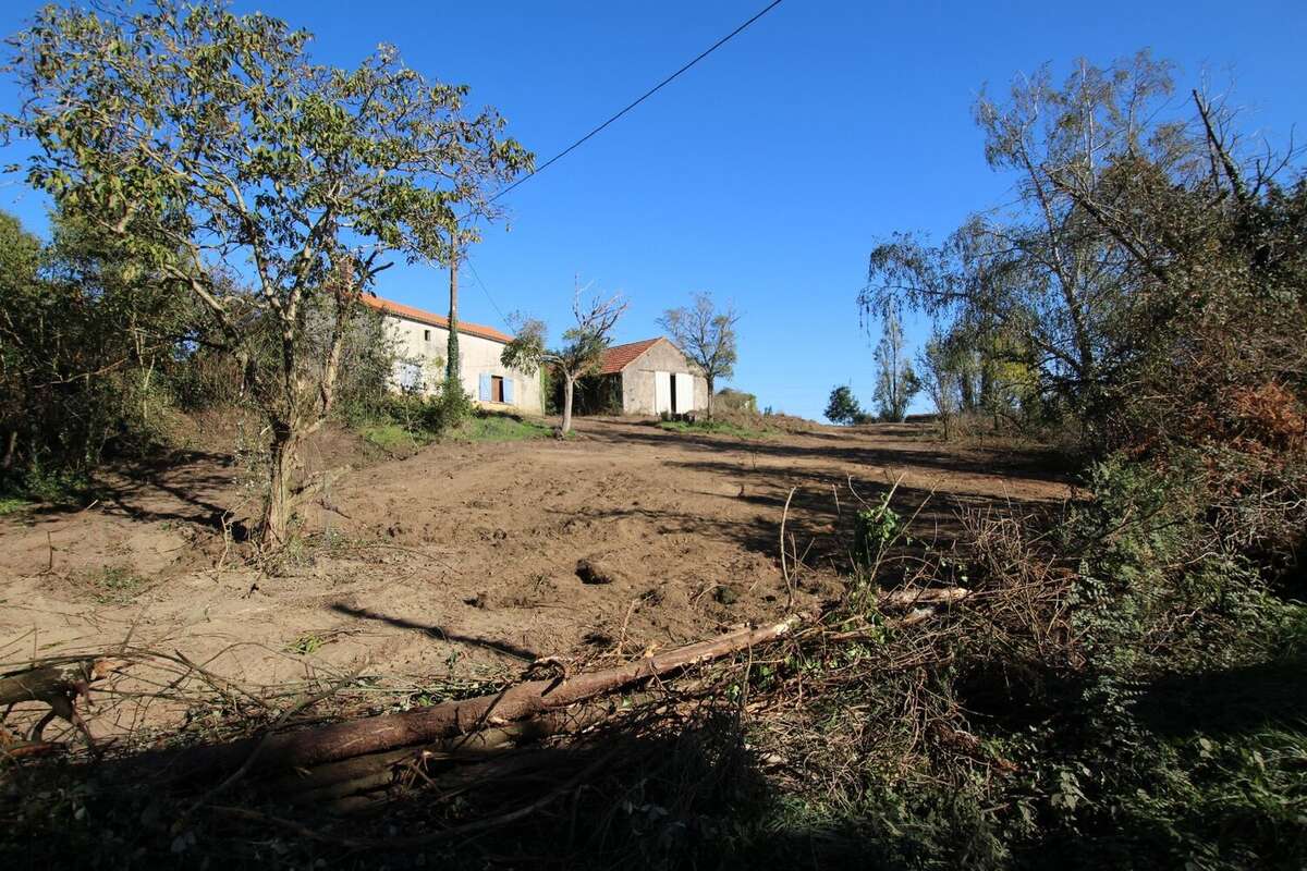 Maison à MONTJEAN-SUR-LOIRE