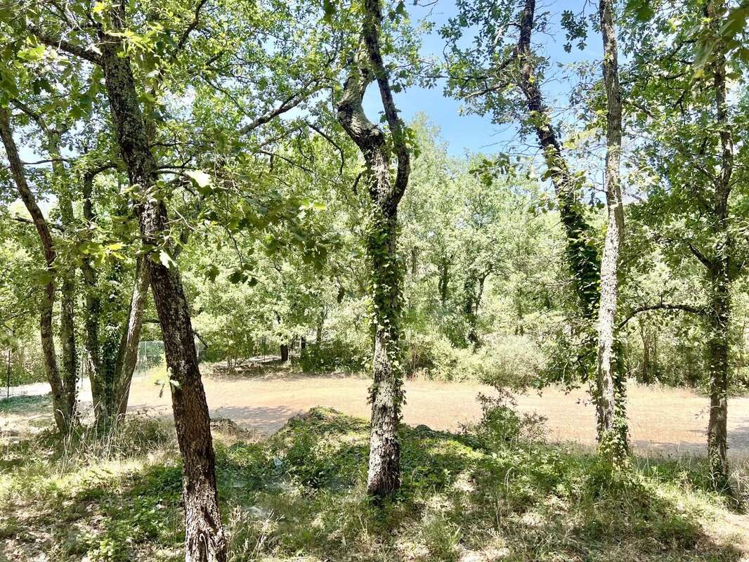 Villa champêtre T4 sur 4 110 m² de terrain - photo 3