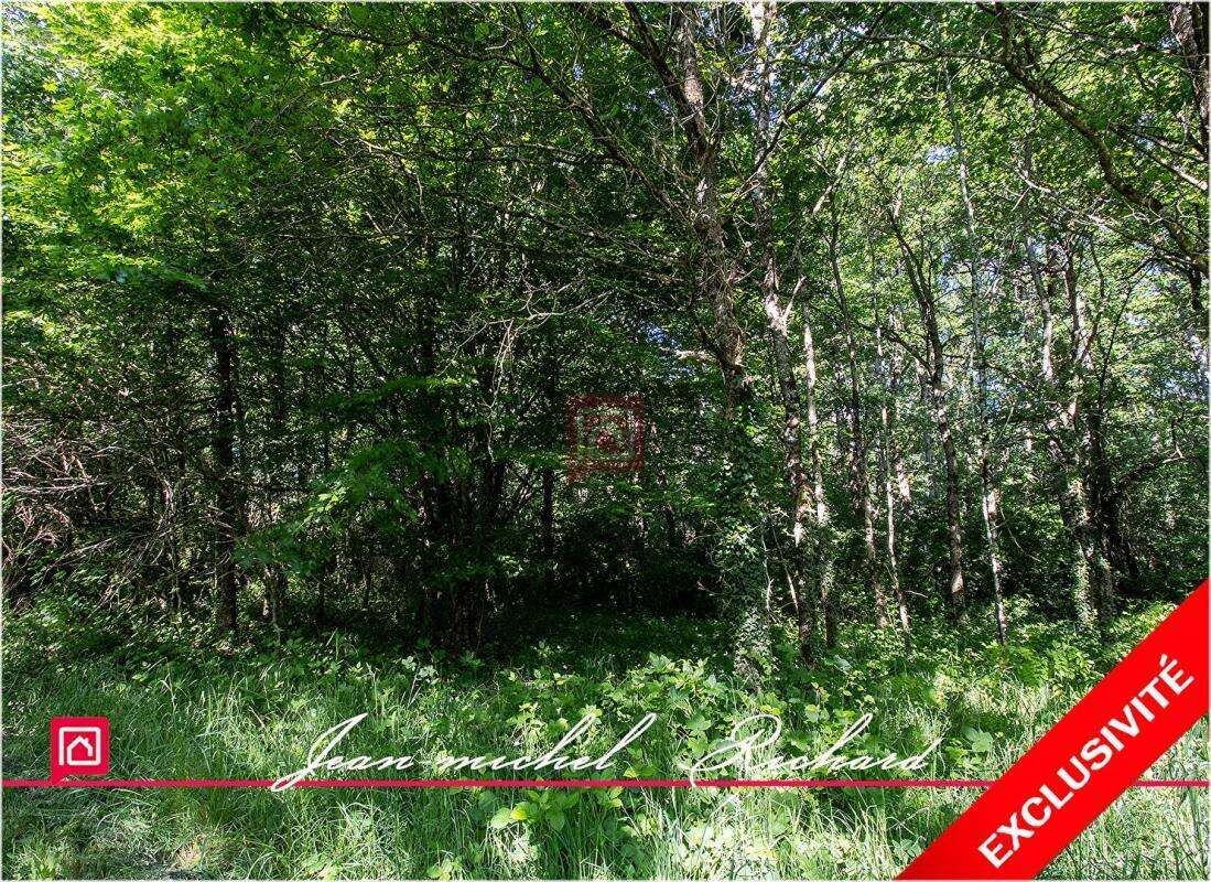 Terrain de loisirs Le Controis En Sologne 63 m2 - photo 2
