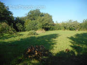 Terrain à SAINT-REMY