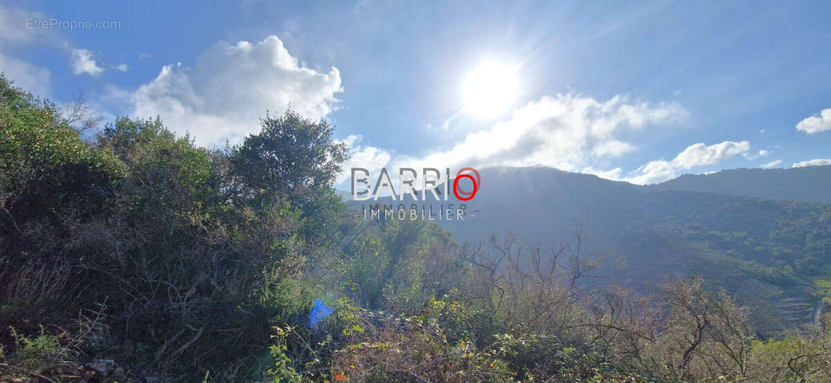 Terrain à COLLIOURE