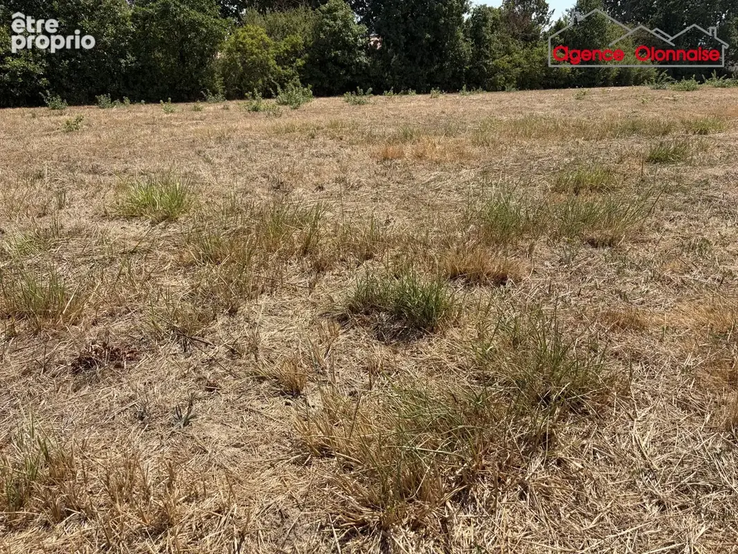 Terrain 1 284 m² à vendre à L'ile-D'olonne (85340) - photo 2