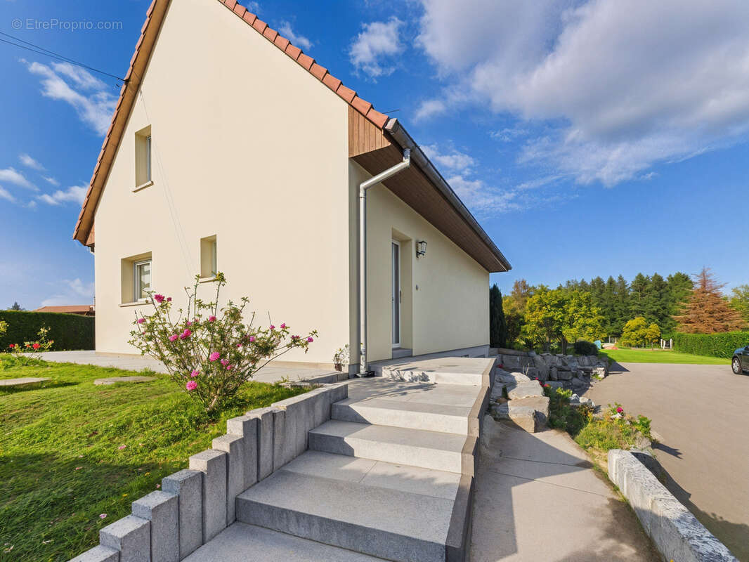 Terrain à DIEFMATTEN