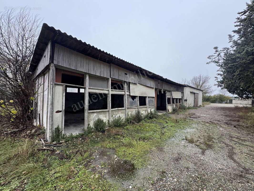 Commerce à CARCASSONNE