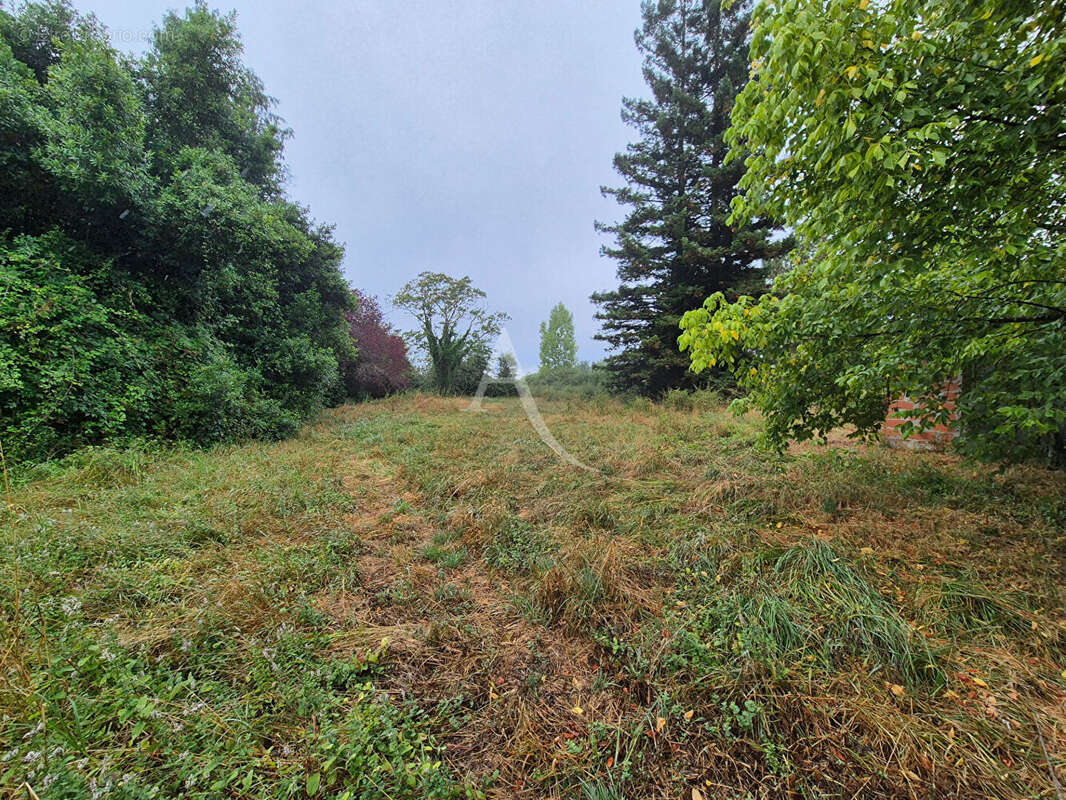 Villeneuve de  Marsan - photo 4