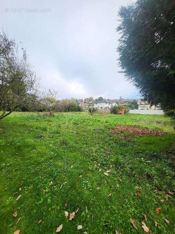 Terrain à CRANVES-SALES