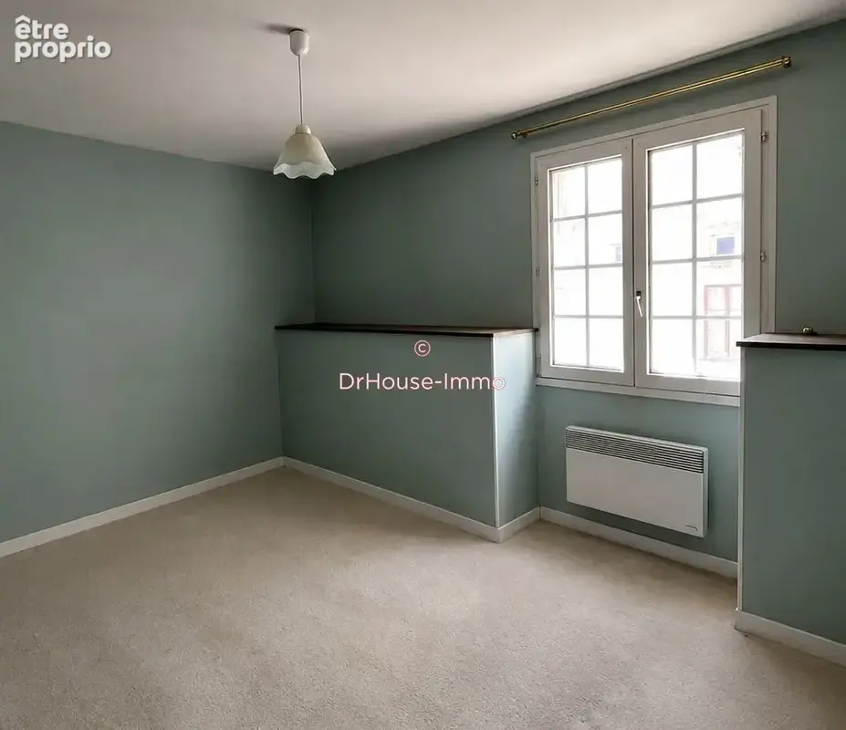 Commerce 391 m² à L'isle-Sur-Serein  - photo 6