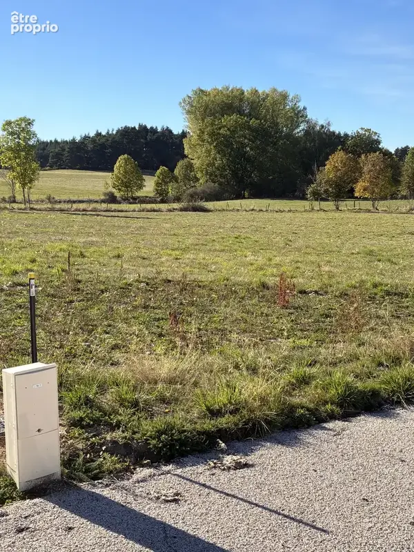 Terrain constructible viabilisé et loti - proche yssingeaux - photo 2