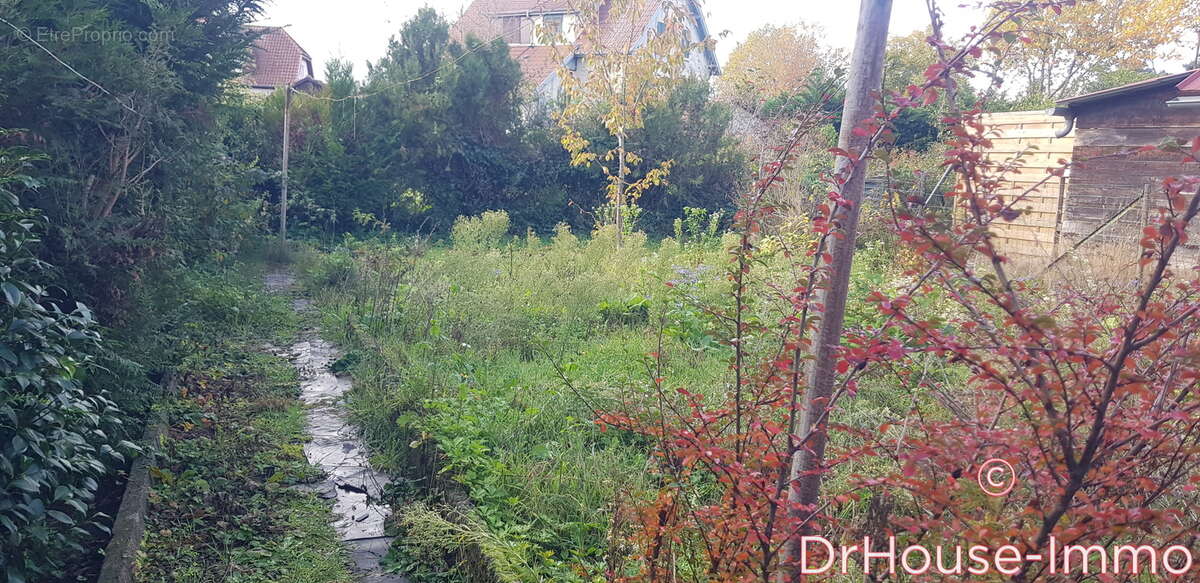 Maison à WITTELSHEIM