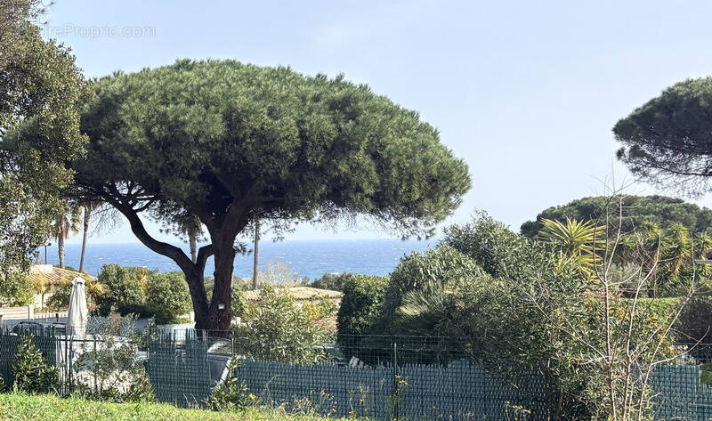 Maison à RAMATUELLE