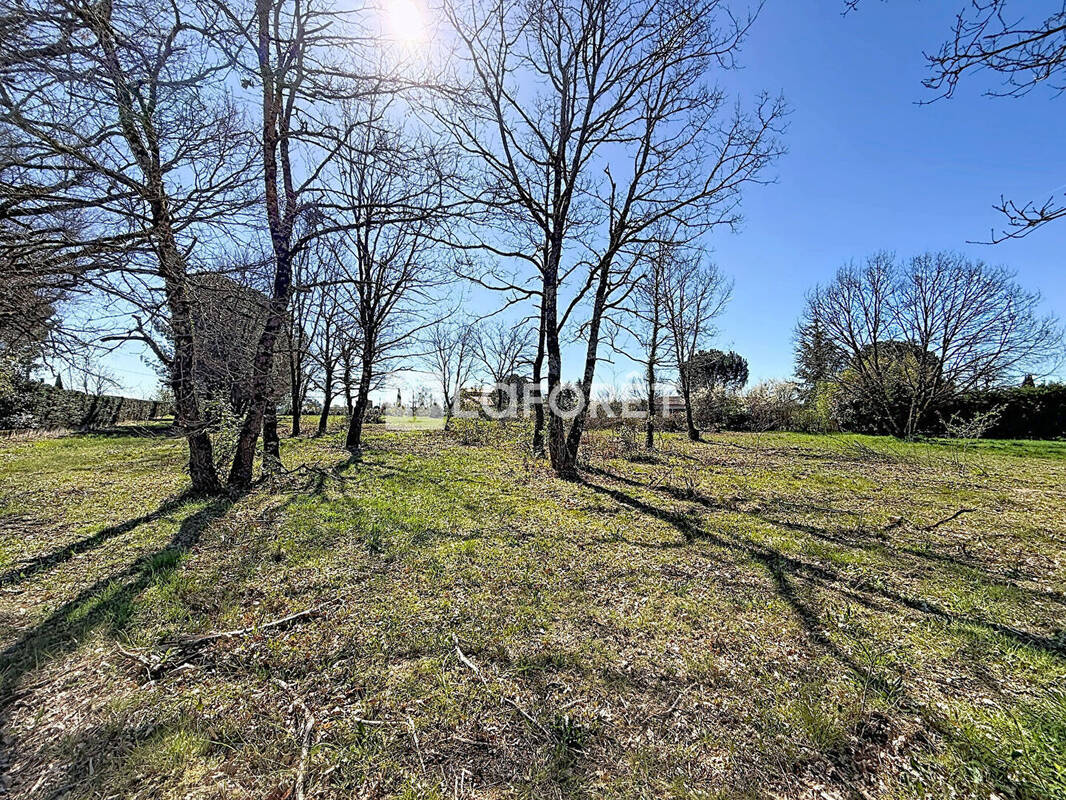 Terrain à VILLEMATIER