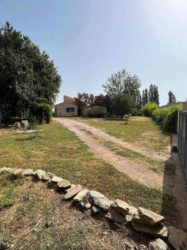 Maison à CASTELLARE-DI-CASINCA