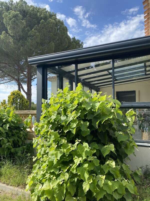 Photo 5 - Maison à PEZENAS