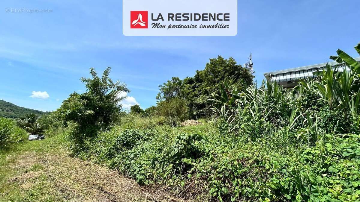 Terrain à RIVIERE-SALEE