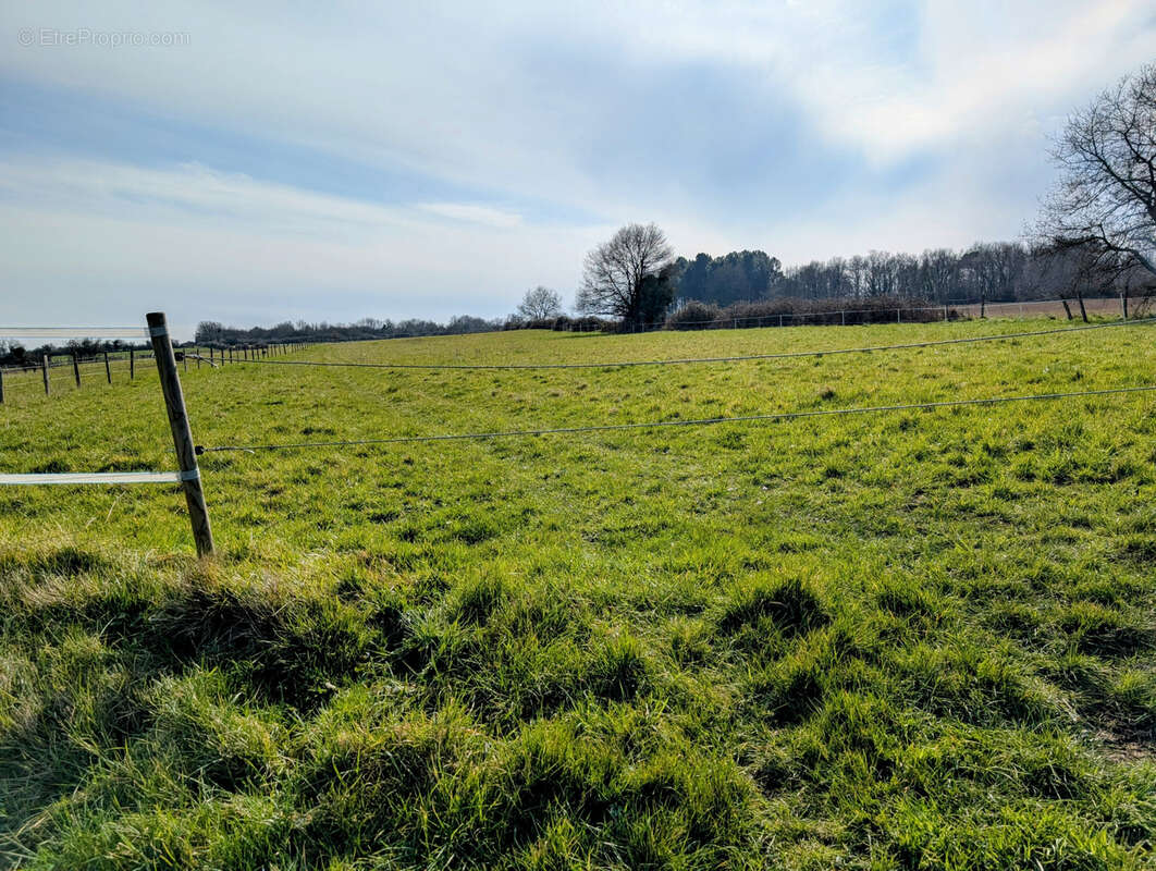 Maison à SAINT-LAURENT-DE-LIN