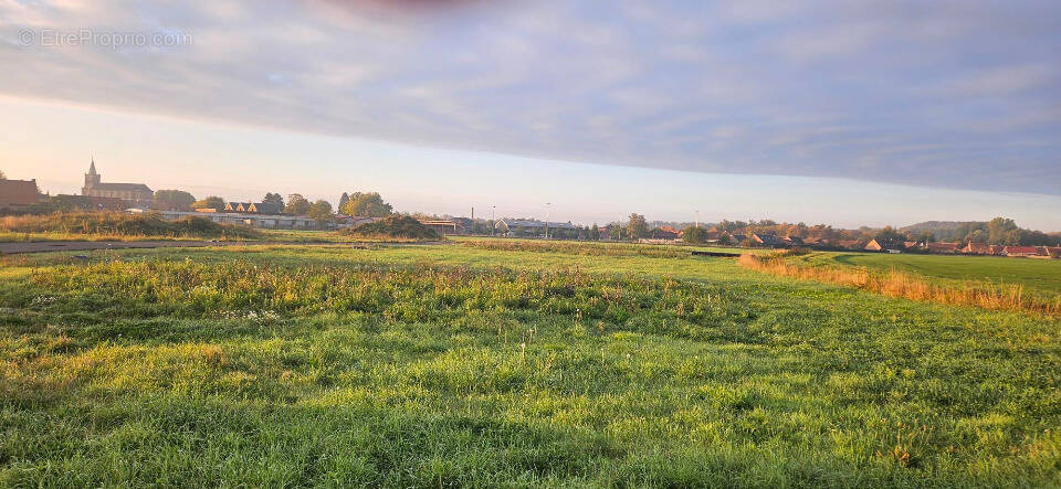 Terrain à LAMBRES-LEZ-DOUAI