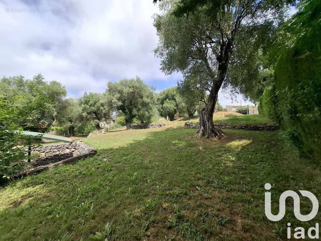 Photo 1 - Terrain à ROQUEFORT-LES-PINS