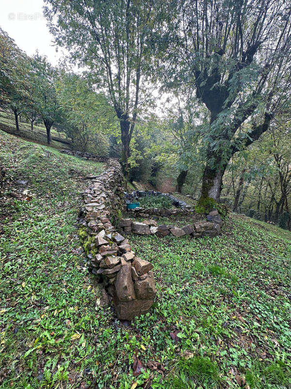 Terrain à SAINT-HIPPOLYTE