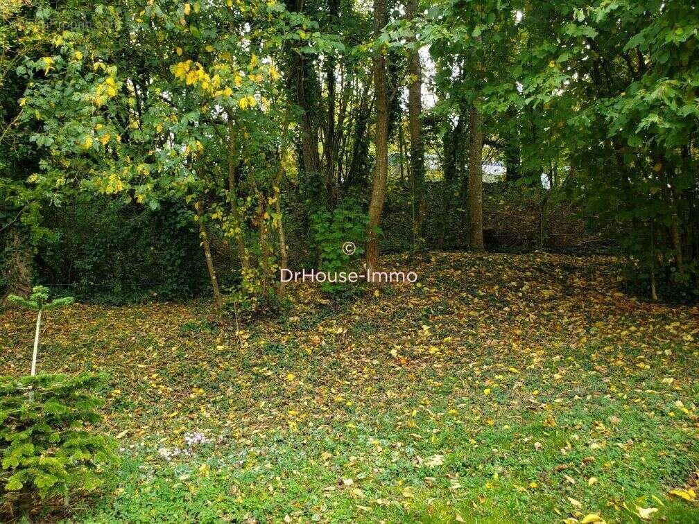 Maison à CLOYES-SUR-LE-LOIR