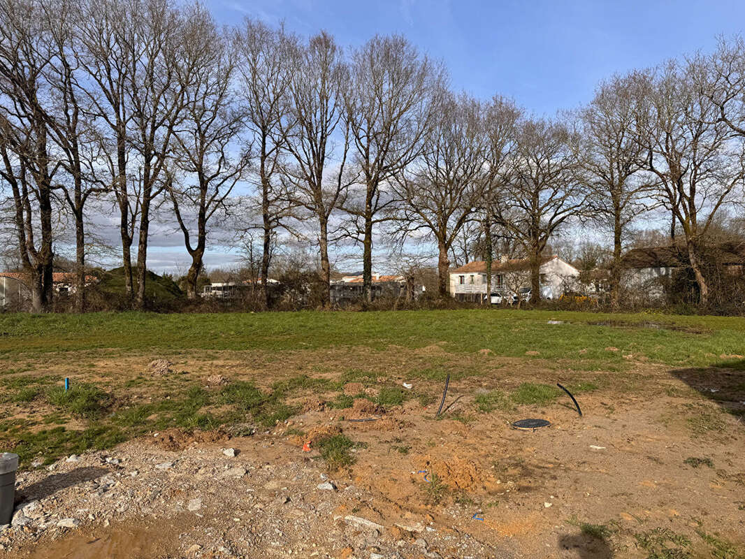 Terrain à BEAULIEU-SOUS-LA-ROCHE