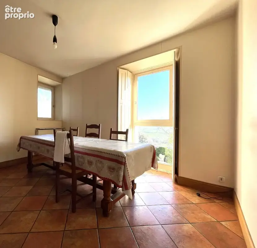 Maison 8 pièces 295 m² à vendre à Le Grand-Serre (26530) - photo 7