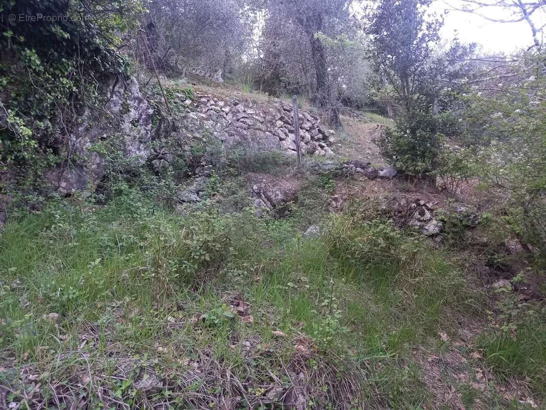 Grand terrain d'agrément - photo 8