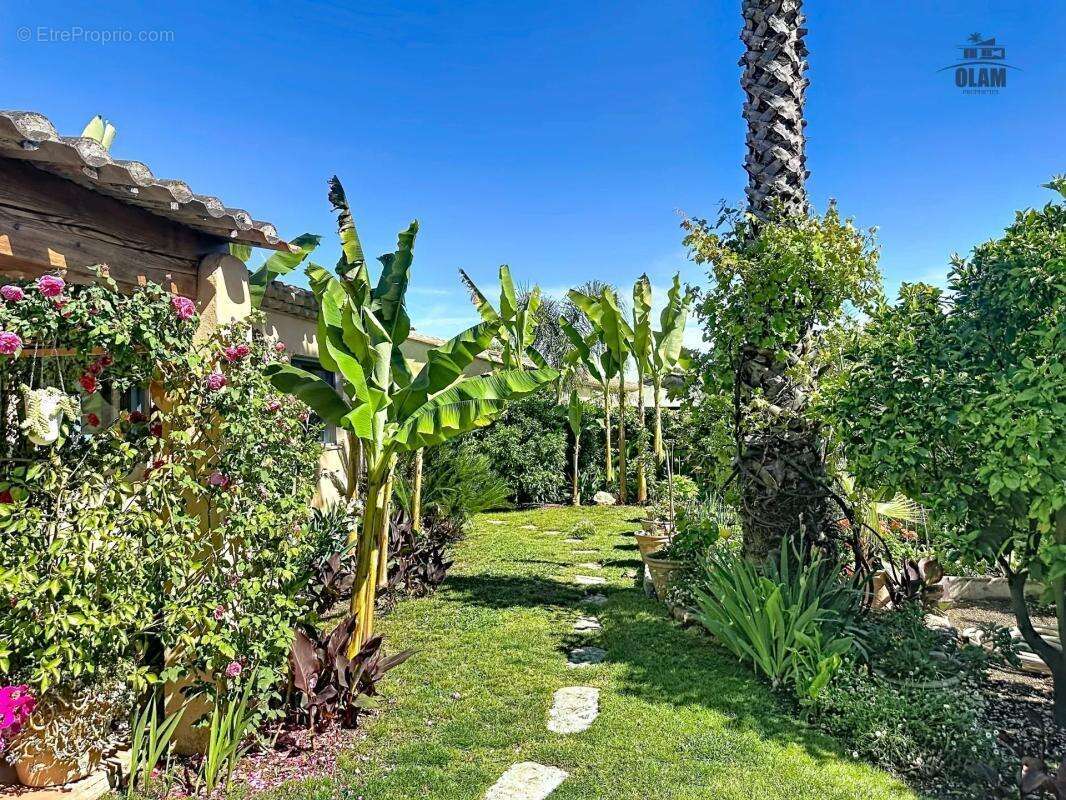 Maison à BIOT