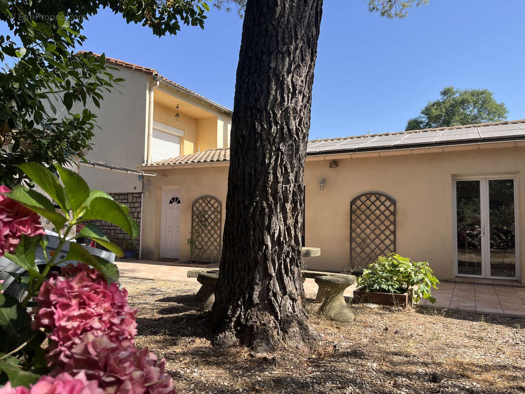 Maison à SAINT-ANDRE-DE-SANGONIS