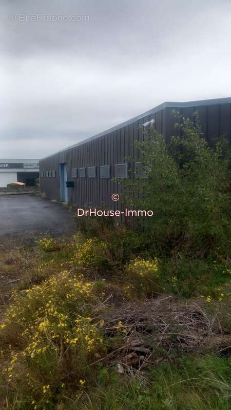 Commerce à CUSSAC-SUR-LOIRE