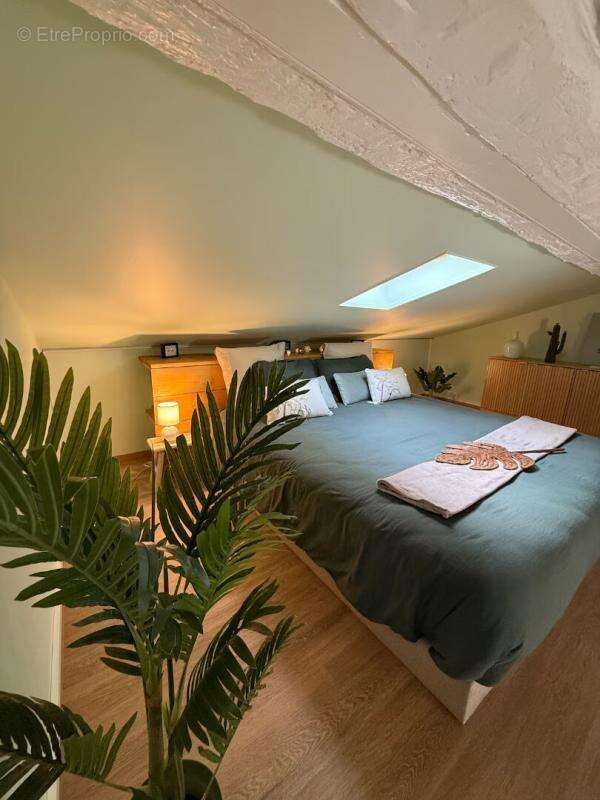 Maison centre ville Limoux à usage de gîte tout équipé - photo 18