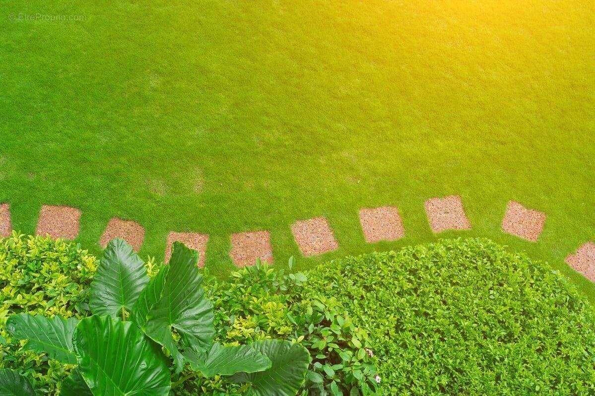 Terrain à BELLEVILLE-SUR-VIE