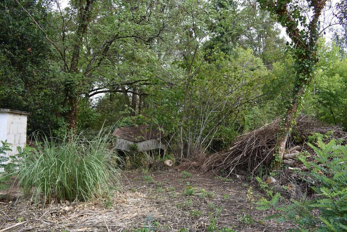 Maison à MOULIN-NEUF
