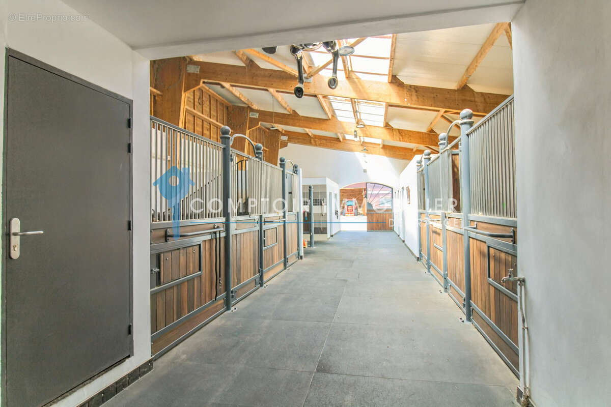 A vendre Dpt Eure (27) Propriété Equestre - A moins d'1 heure de Paris sur parc d'environ 2,6 ha - photo 10